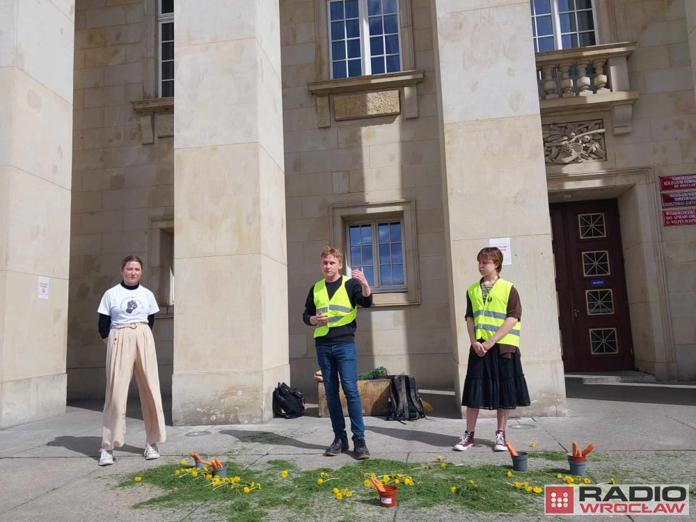 Wysypali trawę i kwiaty przed Urzędem Wojewódzkim - fot. Ewa Zając