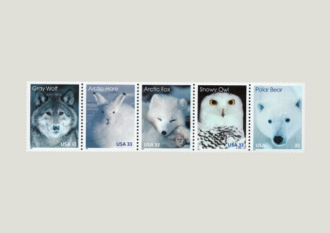Ponad 600 znaczków pocztowych - nowa wystawa otwarta - 0