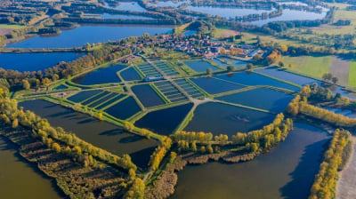 14 mln zł na modernizację Stawów Milickich. W planach m.in. remont grobli