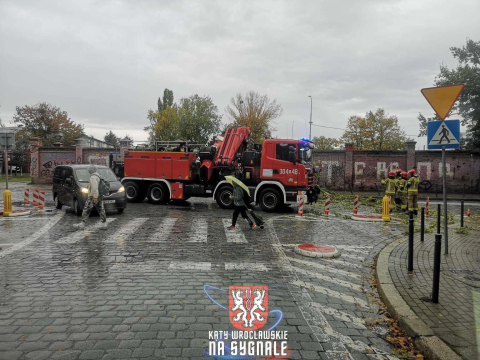 Tęczowa: powalone drzewo, zablokowany przejazd - 1