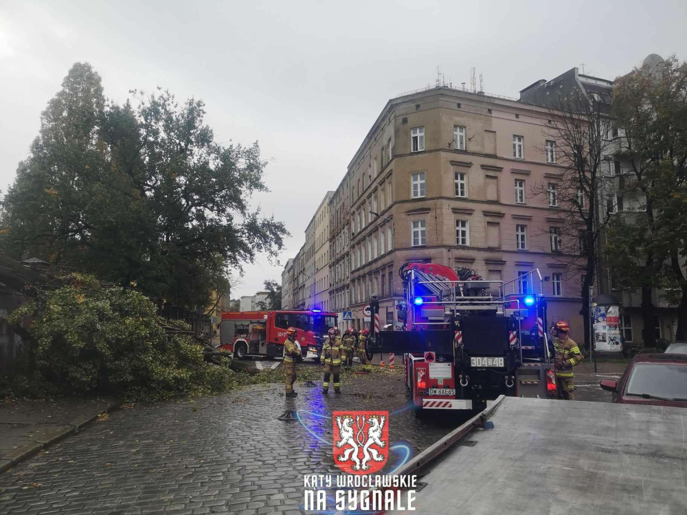 Tęczowa: powalone drzewo, zablokowany przejazd - fot. czytelnik