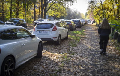 Utrudnienia na Wszystkich Świętych we Wrocławiu. Jak dojechać na cmentarz?