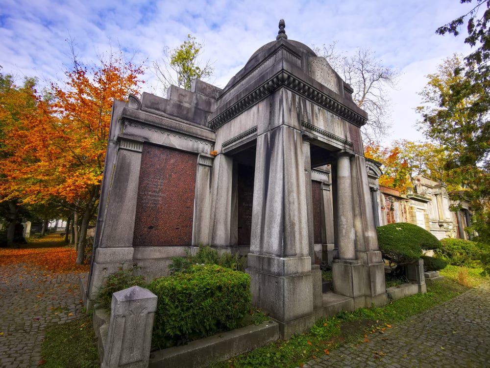 Najbardziej nietypowe muzeum we Wrocławiu. Stary Cmentarz Żydowski  - Cmentarz Żydowski we Wrocławiu, fot. Radosław Bugajski