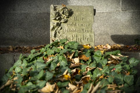 Najbardziej nietypowe muzeum we Wrocławiu. Stary Cmentarz Żydowski  - 12