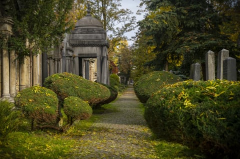 Najbardziej nietypowe muzeum we Wrocławiu. Stary Cmentarz Żydowski  - 16