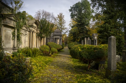 Najbardziej nietypowe muzeum we Wrocławiu. Stary Cmentarz Żydowski  - 18