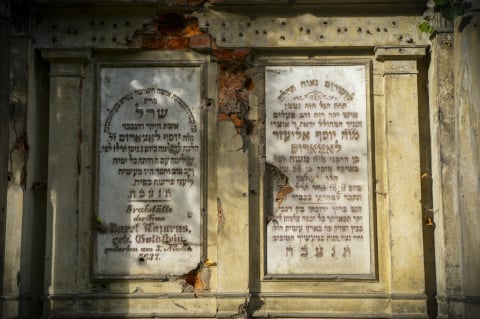 Najbardziej nietypowe muzeum we Wrocławiu. Stary Cmentarz Żydowski  - 21