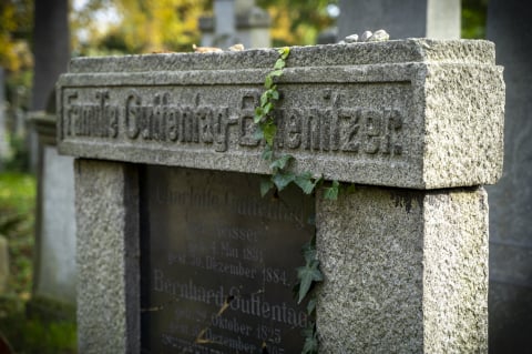 Najbardziej nietypowe muzeum we Wrocławiu. Stary Cmentarz Żydowski  - 22