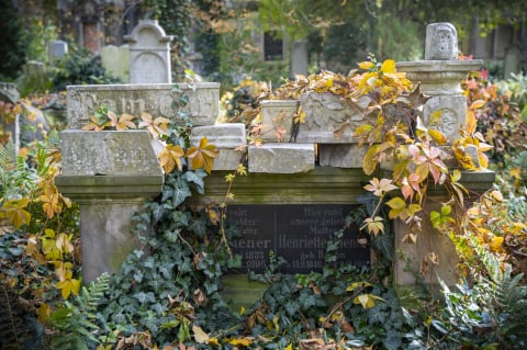 Najbardziej nietypowe muzeum we Wrocławiu. Stary Cmentarz Żydowski  - 25