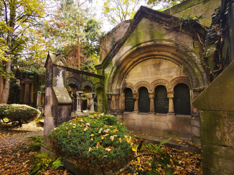 Najbardziej nietypowe muzeum we Wrocławiu. Stary Cmentarz Żydowski  - 28