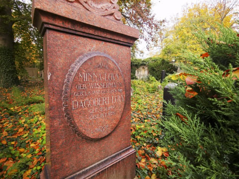 Najbardziej nietypowe muzeum we Wrocławiu. Stary Cmentarz Żydowski  - 30