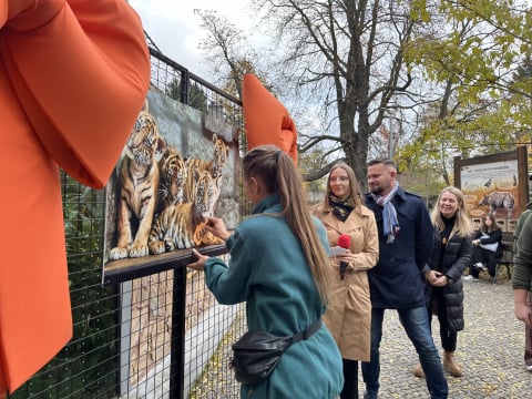 Tygrysy z Zoo Wrocław mają już imiona!  - 2