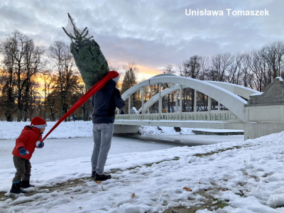 Świdnica na fotografiach. Urząd Miasta zachęca do udziału w świątecznym konkursie