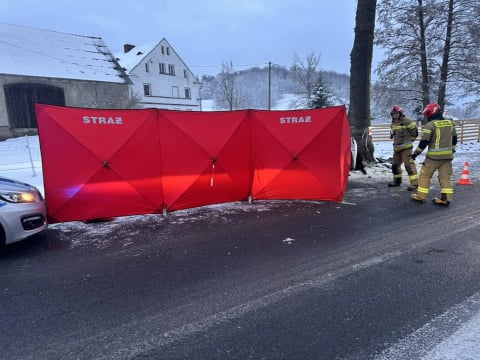 Tragiczny wypadek na Dolnym Śląsku. Dostawca cateringu zginął po uderzeniu w drzewo - 1