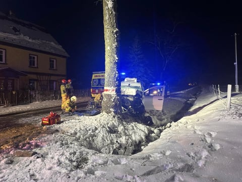 Tragiczny wypadek na Dolnym Śląsku. Dostawca cateringu zginął po uderzeniu w drzewo - 2