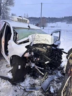 Tragiczny wypadek na Dolnym Śląsku. Dostawca cateringu zginął po uderzeniu w drzewo - 3