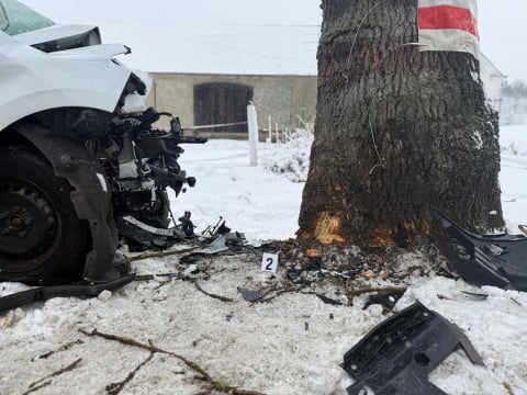 Tragiczny wypadek na Dolnym Śląsku. Dostawca cateringu zginął po uderzeniu w drzewo - 5