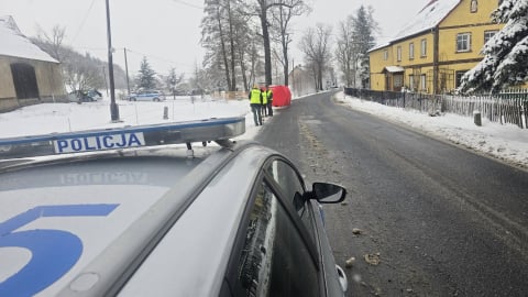 Tragiczny wypadek na Dolnym Śląsku. Dostawca cateringu zginął po uderzeniu w drzewo - 6