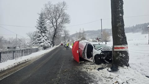 Tragiczny wypadek na Dolnym Śląsku. Dostawca cateringu zginął po uderzeniu w drzewo - 7