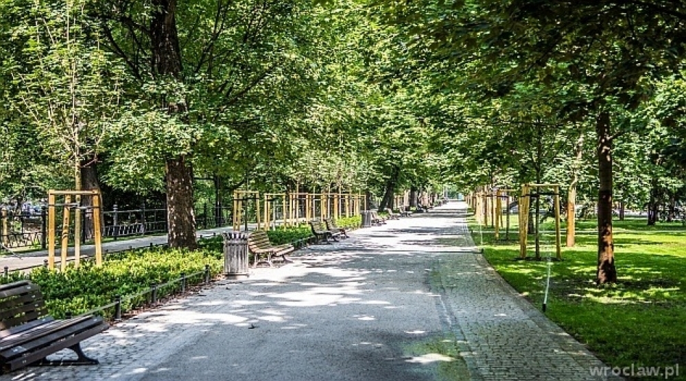 Drzewa z imionami bohaterów sprzed lat zostaną posadzone na Dolnym Śląsku - (fot. mat. prasowe)