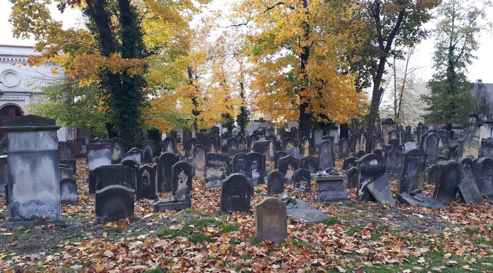 Wszystkich Świętych: Cmentarz żydowski w Legnicy [POSŁUCHAJ] - fot. Karolina Kurczab