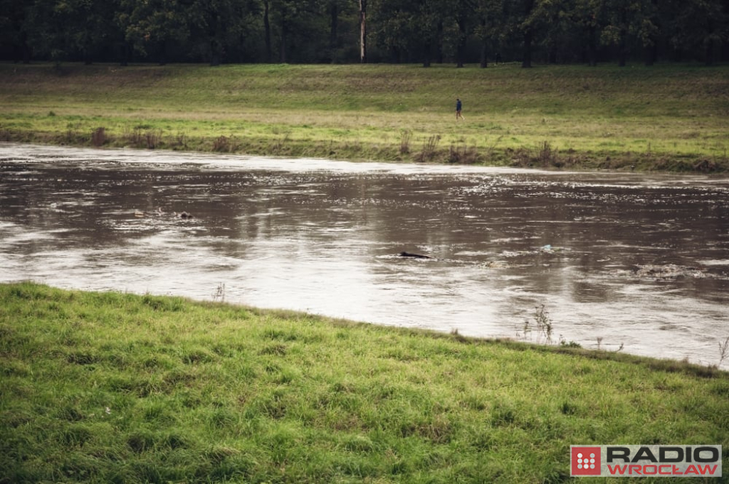 IMGW Ostrzega. Po burzach stan wody w rzekach gwałtownie się podniesie - fot:  archiwum Radia Wrocław