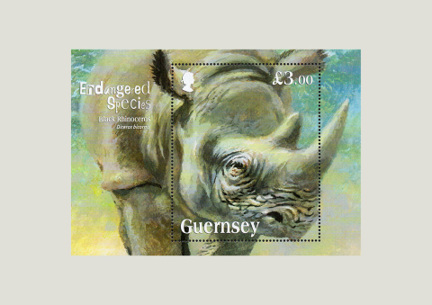Ponad 600 znaczków pocztowych - nowa wystawa otwarta - 1