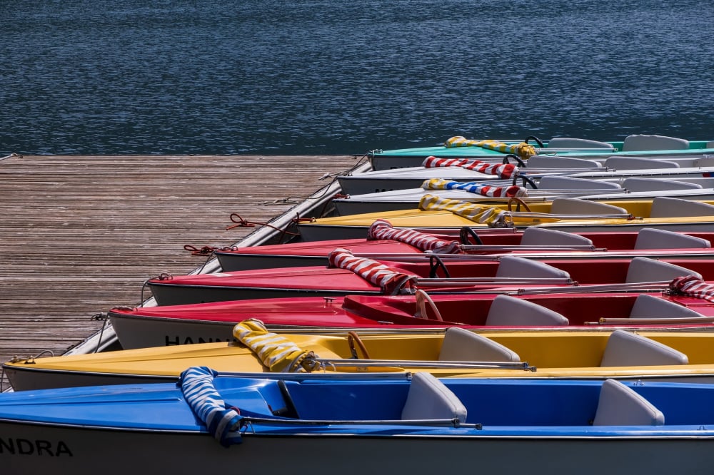 To miał być piękny i kolorowy dzień na Morskim Oku we Wrocławiu - fot. ilustracyjna / Pixabay