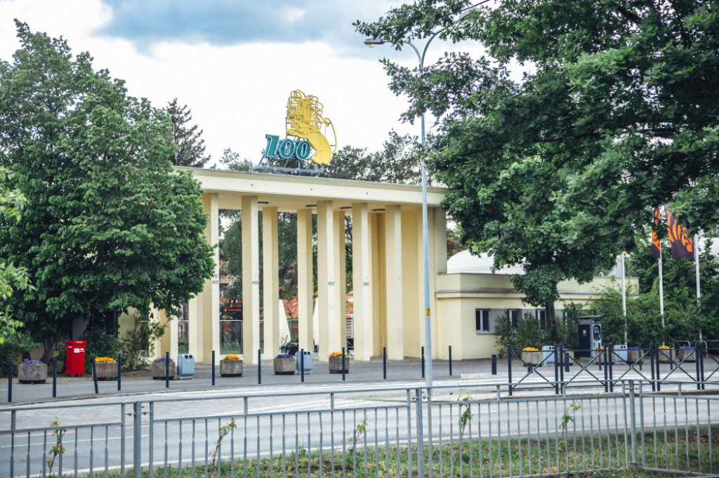 Zastraszanie w zoo? Trwa spór związków zawodowych - zdjęcie ilustracyjne: fot. RW