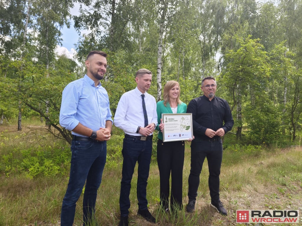 W powiecie głogowskim pojawią się nowe drzewa - fot. Karolina Bieniek