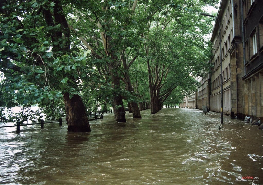 Janusz Zaleski o powodzi: System państwa nie był na to przygotowany - Fot. z archiwum Uniwersytetu Wrocławskiego/fotopolska.eu