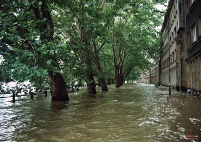 J. Zaleski o powodzi: System państwa nie był na to przygotowany