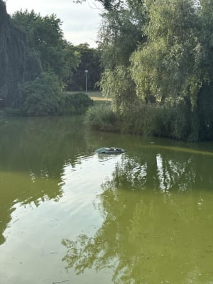 Wrocław odławia żółwie. Ludzie je kupują, a potem wyrzucają w parkach - 3