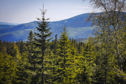 Za nami rekordowe wakacje w Karkonoszach - 1