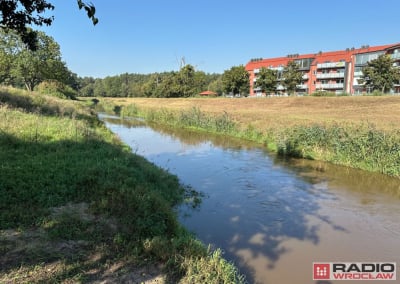 Barycz zagrożona katastrofą ekologiczną [PUBLICYSTYKA]