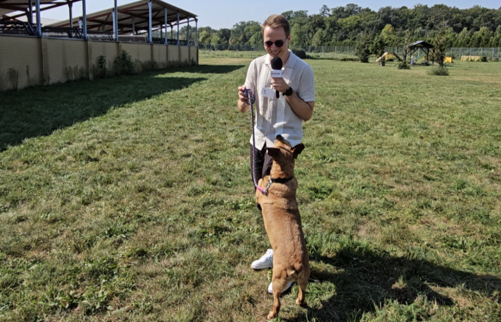 Te psy czekają na adopcję we wrocławskim schronisku! - fot. Łukasz Januszewski