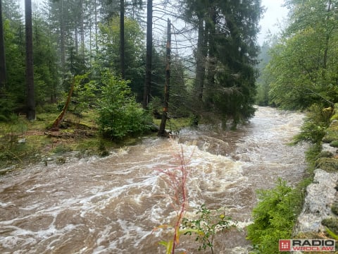 Dolny Śląsk walczy z deszczem. [AKTUALIZACJA] - 20