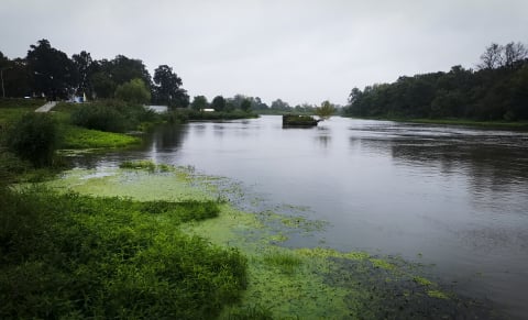 Wrocław. Sytuacja hydrologiczna jest stabilna [RAPORT PORANNY]  - 5