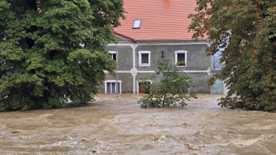 Bystrzyca Kłodzka: "Sytuacja dramatyczna, nie wszyscy chcą ewakuacji". Giną zwierzęta - 0