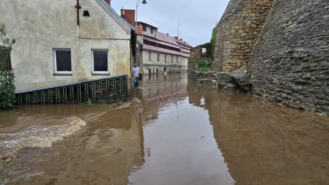 Bystrzyca Kłodzka: "Sytuacja dramatyczna, nie wszyscy chcą ewakuacji". Giną zwierzęta - 2