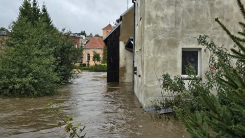 Bystrzyca Kłodzka: "Sytuacja dramatyczna, nie wszyscy chcą ewakuacji". Giną zwierzęta - 5