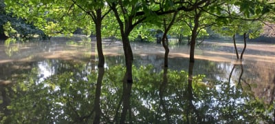 Wrocławskie parki pod wodą