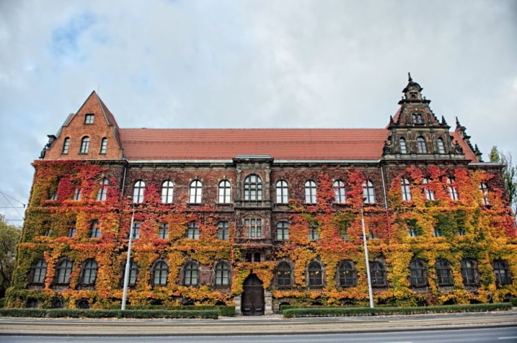 MKiDN ogłosiło konkurs na kandydata na stanowisko dyrektora Muzeum Narodowego we Wrocławiu - fot. archiwum.prw.pl