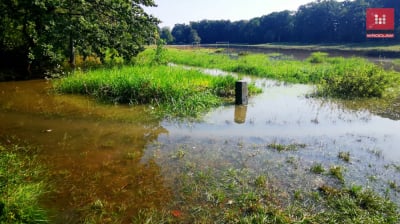 Park Grabiszyński podtopiony [WIDEO]