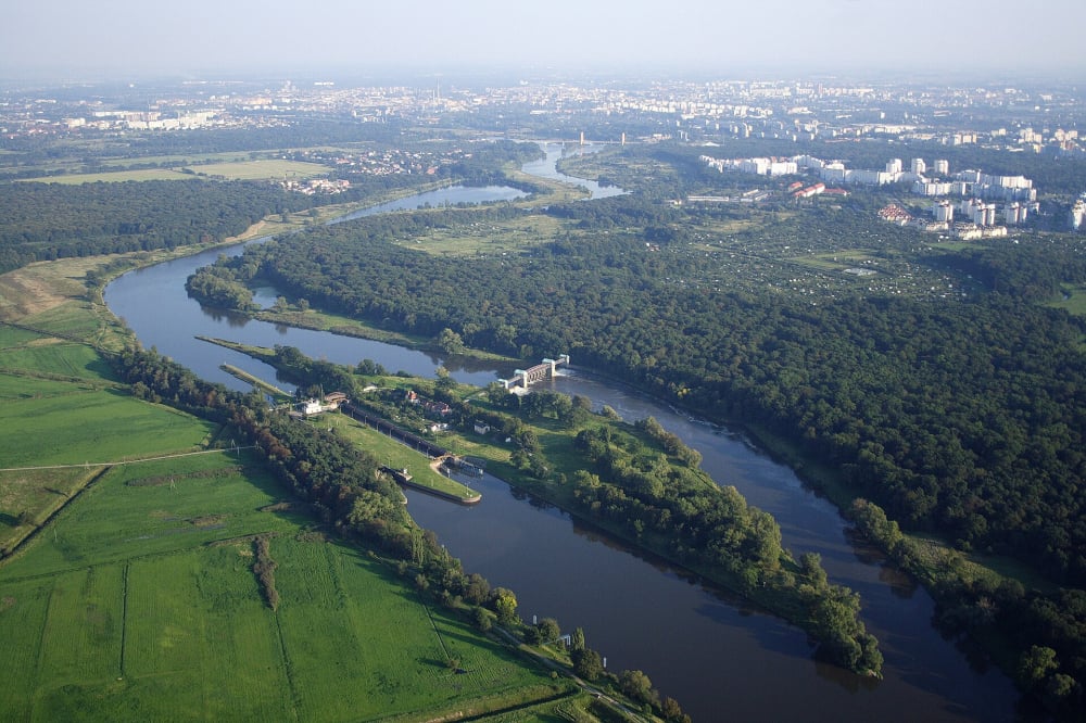 Wrocław planuje budowę nowej trasy rowerowej przez Las Rędziński - fot. Wikipedia/Grzegorz Kilian/CC BY-SA 3.0