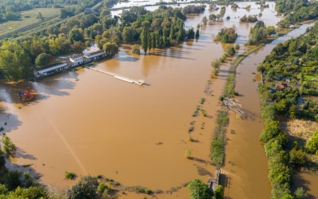 Te łąki uchroniły miasto przed powodzią. Mieszkańcy walczą, by nie zostały zabudowane - fot. UM Legnica/ zdjęcie poglądowe