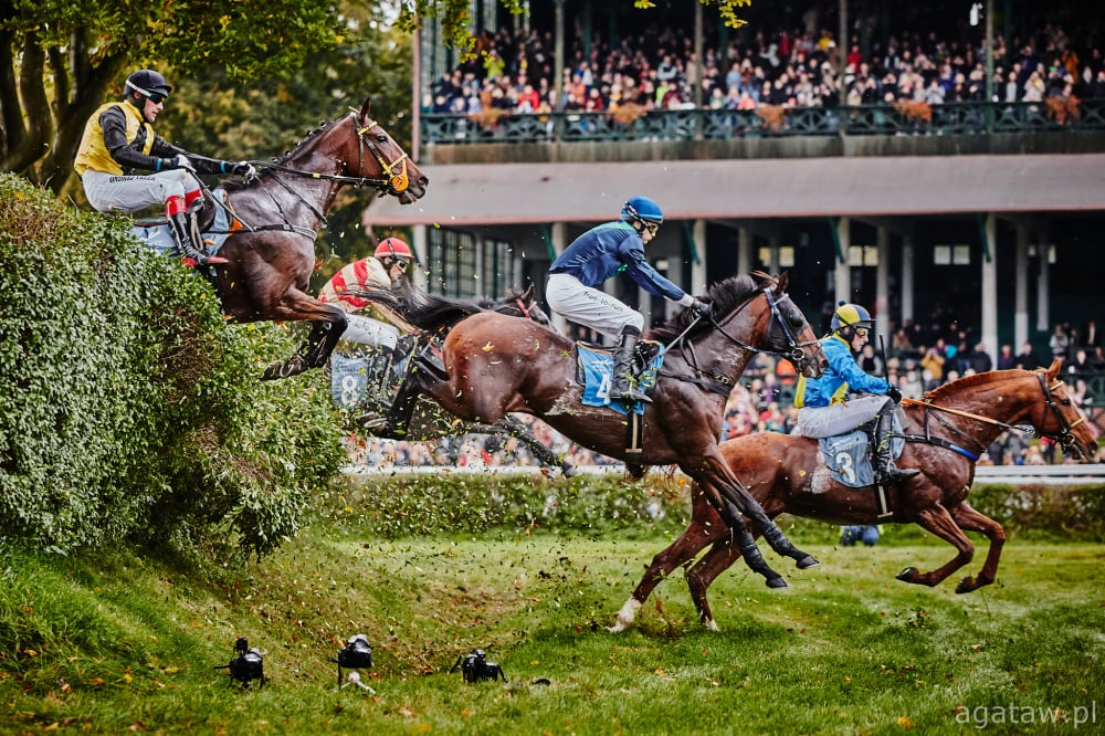  Europejskie ściganie na Partynicach - w niedzielę gonitwa o puchar Crystal Cup