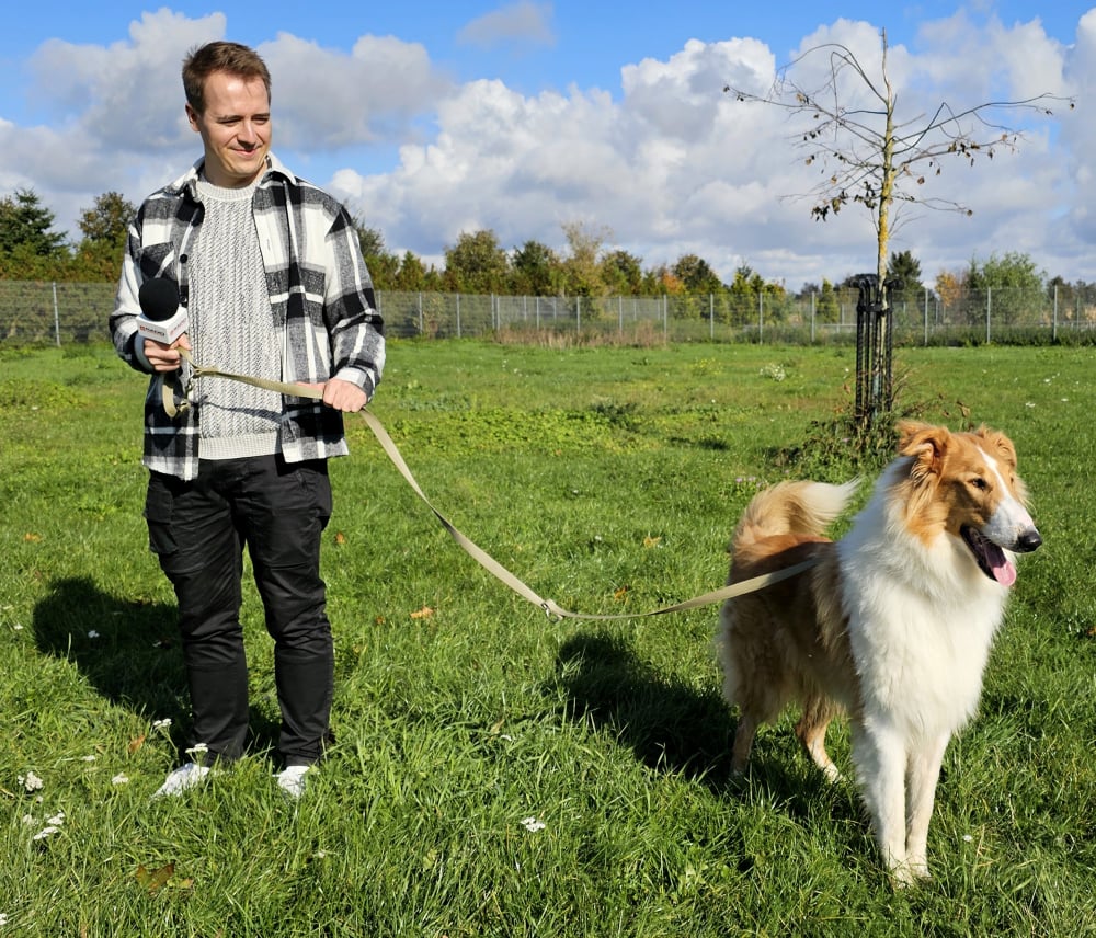 Te psy czekają na adopcję we wrocławskim schronisku - Pies czekający na adopcję we Wrocławskim Schronisku, fot. Radek Bugajski