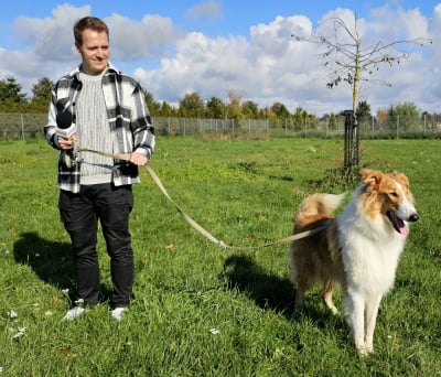 Te psy czekają na adopcję we wrocławskim schronisku