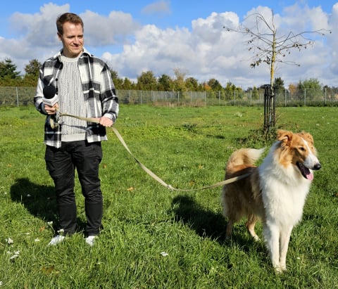 Te psy czekają na adopcję we wrocławskim schronisku - 0